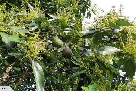 Photo of property in 704 Ngunguru Road, Glenbervie, Whangarei, 0173