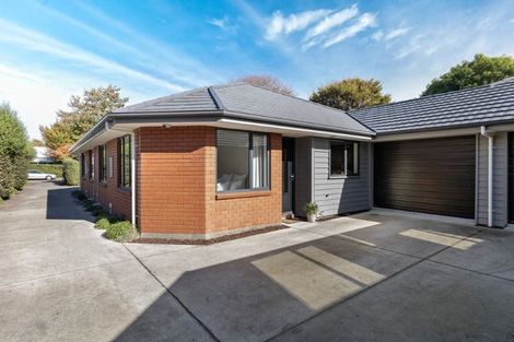 Photo of property in 31c Walpole Street, Waltham, Christchurch, 8023