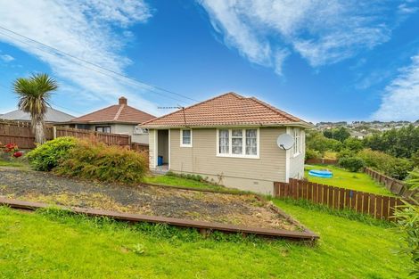 Photo of property in 98 Panmure Avenue, Calton Hill, Dunedin, 9012
