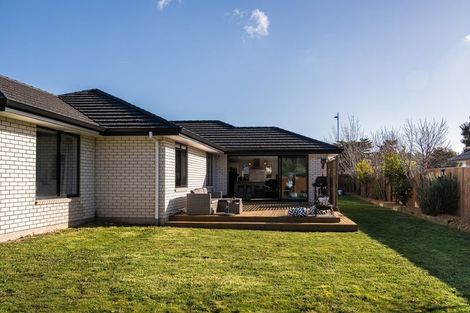 Photo of property in 225 Taylor Pass Road, Witherlea, Blenheim, 7201