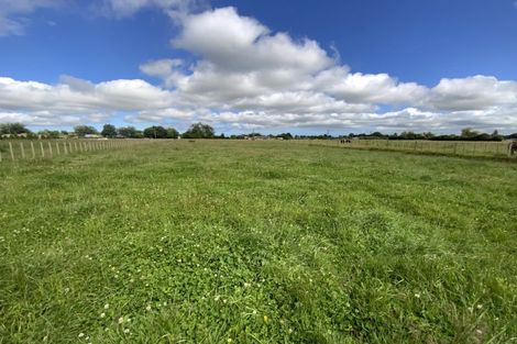 Photo of property in 161 Gladstone Road, Levin, 5571