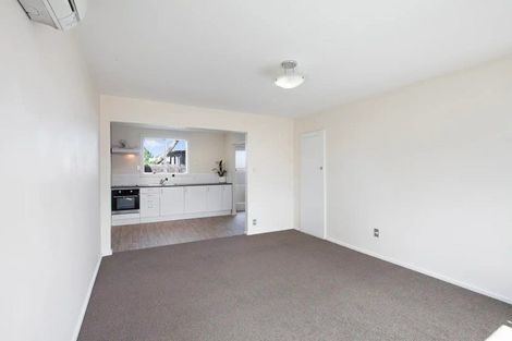 Photo of property in 183 Hastings Street East, Waltham, Christchurch, 8023