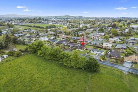Photo of property in 37 Seales Road, Morrinsville, 3300