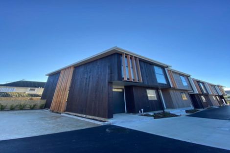 Photo of property in 30 Palm Grove, Berhampore, Wellington, 6023