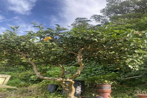 Photo of property in 201 Marine Parade, Seatoun, Wellington, 6022