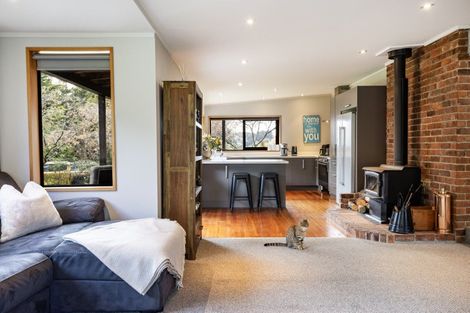 Photo of property in 51 Flower Street, Fairfield, Dunedin, 9018