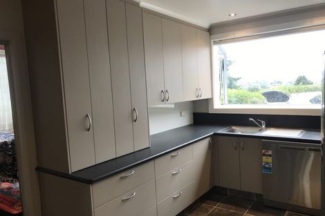 Photo of property in 40 Falcon Street, Kaikorai, Dunedin, 9010