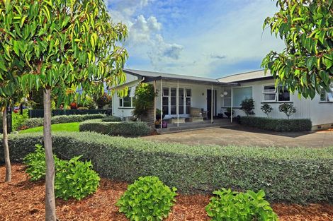 Photo of property in 322 Karaitiana Street, Frimley, Hastings, 4120