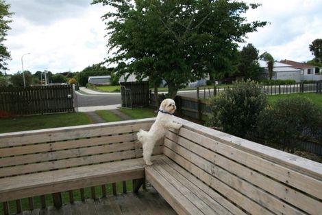 Photo of property in 35 Achilles Street, Stratford, 4332