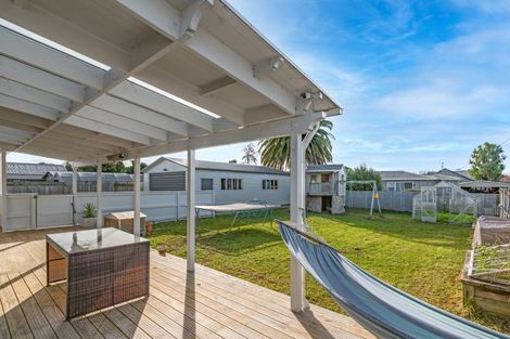 Photo of property in 6 Tararua Street, Masterton, 5810