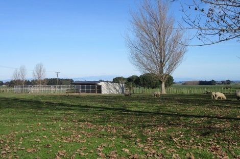 Photo of property in 1644 Cheltenham Hunterville Road, Waituna West, Rewa, 4780