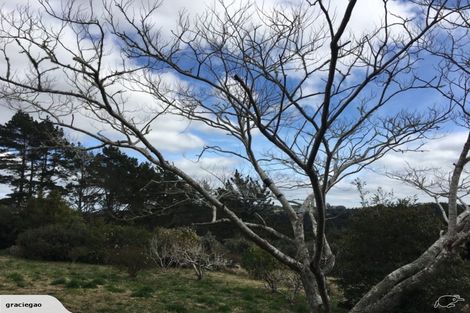 Photo of property in 182 Gills Road, Albany Heights, Auckland, 0632
