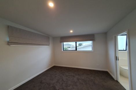 Photo of property in 208a Te Awa Avenue, Awatoto, Napier, 4110