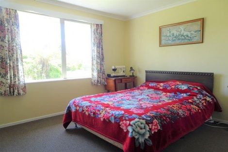 Photo of property in 259 Stafford Loop Road, Awatuna, Hokitika, 7882