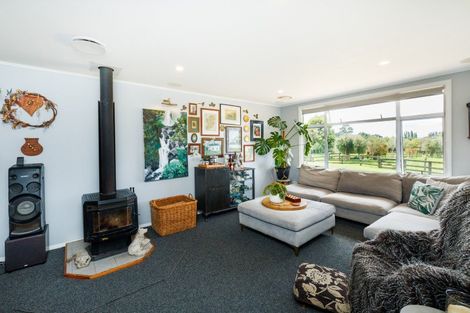 Photo of property in 49 Harrisons Line, Ashhurst, 4470