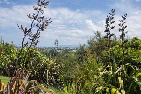 Photo of property in 32 Hillview Terrace, Mangapapa, Gisborne, 4010