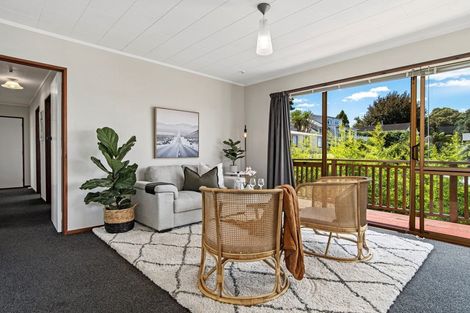 Photo of property in 65 Fifth Avenue, Tauranga, 3110