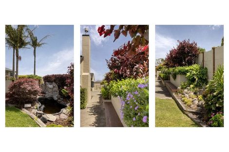 Photo of property in 81-83 Hamurana Road, Omokoroa, 3114