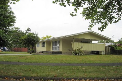 Photo of property in 12 Mcshane Street, Pukekohe, 2120