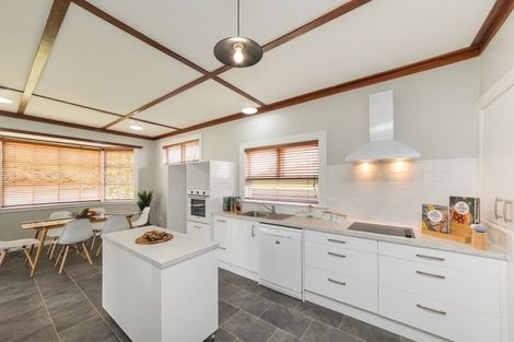 Photo of property in 60 Haydon Street, Roslyn, Palmerston North, 4414