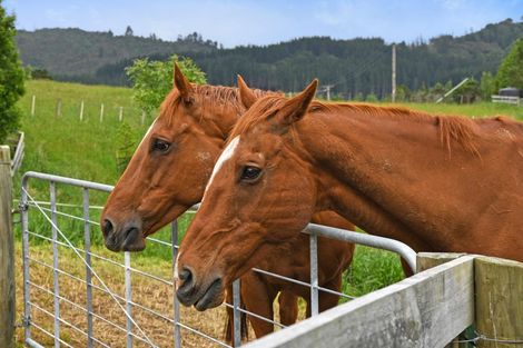 Photo of property in 1021 Whitemans Valley Road, Blue Mountains, Upper Hutt, 5371