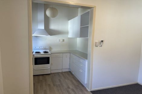 Photo of property in 133 Galloway Street, Hamilton East, Hamilton, 3216