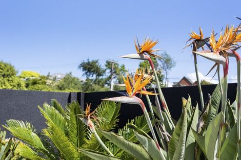 Photo of property in 36 Kawiu Road, Levin, 5510