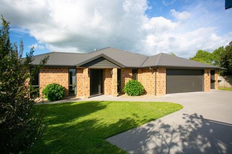 Photo of property in 2 Haig Road, Matamata, 3400