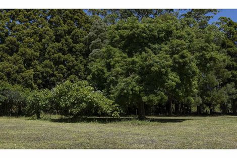 Photo of property in 41 Te Ra Road, Kaeo, Kerikeri, 0295