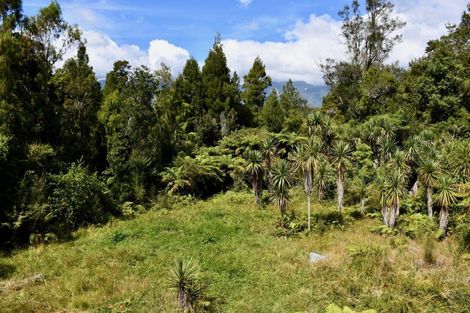 Photo of property in 284 Blue Duck Road, Little Wanganui, Karamea, 7893