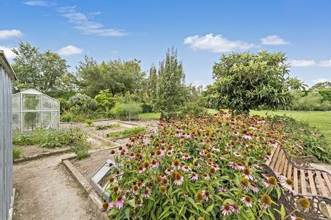 Photo of property in 1349 Tramway Road, Dunsandel, Leeston, 7682