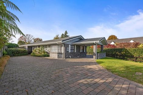 Photo of property in 486 Pukehangi Road, Pomare, Rotorua, 3015