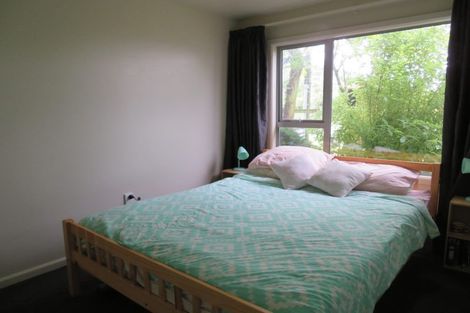 Photo of property in 2 Douglas Street, Lincoln, 7608