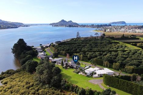 Photo of property in 65 Tangiteroria Lane, Pauanui, Hikuai, 3579