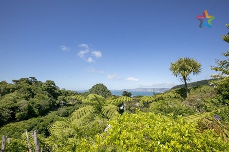 Photo of property in 80 Korokoro Road, Korokoro, Lower Hutt, 5012