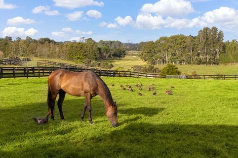 Photo of property in 145 Hanham Road, Kumeu, 0891