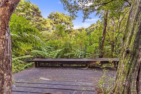 Photo of property in 24 Punga Place, Whitianga, 3510