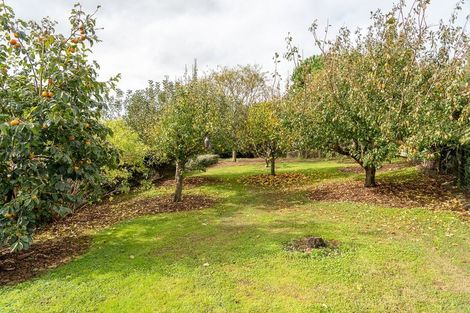 Photo of property in 10c Bell Road, Whatawhata, Hamilton, 3285