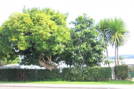 Photo of property in 97 Ohauiti Road, Hairini, Tauranga, 3112