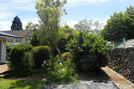 Photo of property in 7 Harper Street, Nelson, 7010