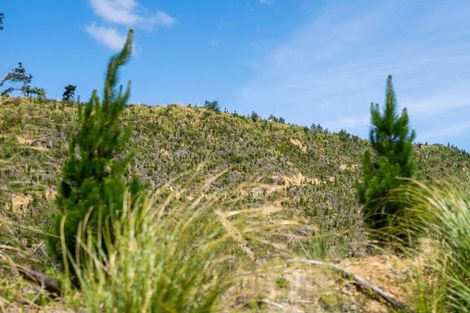 Photo of property in 316b Waitao Road, Waitao, Tauranga, 3175