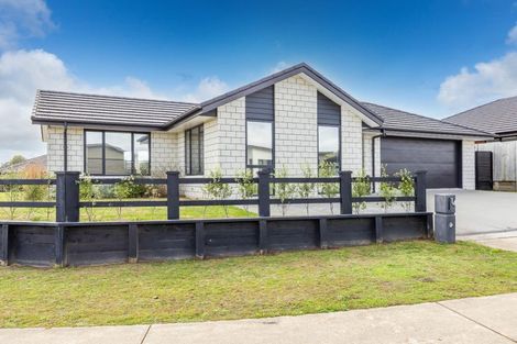 Photo of property in 14 Rangawhenua Street, Ngaruawahia, Hamilton, 3288