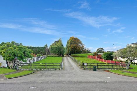 Photo of property in 71 Kennedy Drive, Levin, 5510