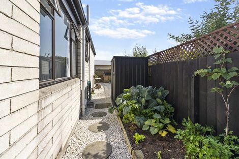 Photo of property in 15 Collingwood Street, Highfield, Timaru, 7910