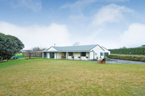 Photo of property in 155 Raukawa Road, Ashhurst, Palmerston North, 4470