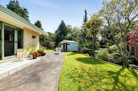 Photo of property in 29 Margaret Street, Stratford, 4332