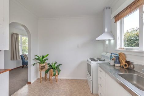 Photo of property in 26 Graham Street, Levin, 5510