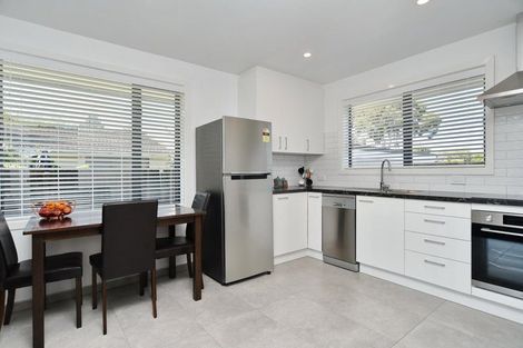 Photo of property in 3/162 Bordesley Street, Phillipstown, Christchurch, 8011