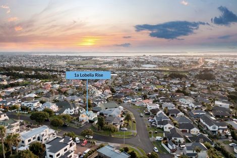 Photo of property in 1a Lobelia Rise, Goodwood Heights, Auckland, 2105