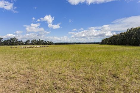 Photo of property in 81 Stockgrove Road, Glasnevin, Amberley, 7482